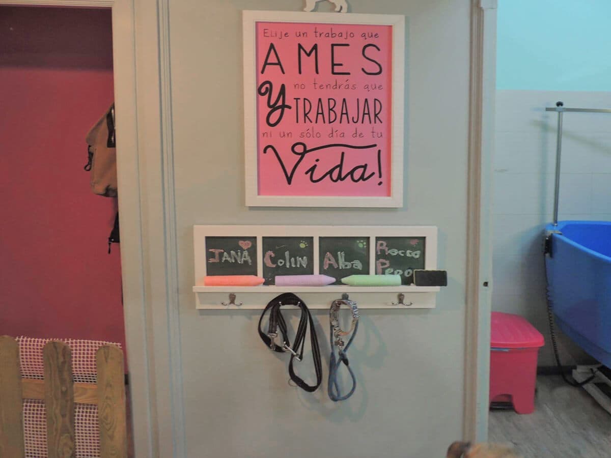 Peluquería canina en Vigo