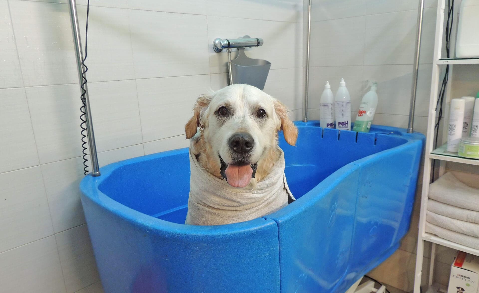 Peluquería canina en Vigo